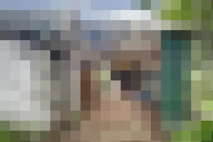 Noord Kavelsedijk 4 Strijen thumbnail 13