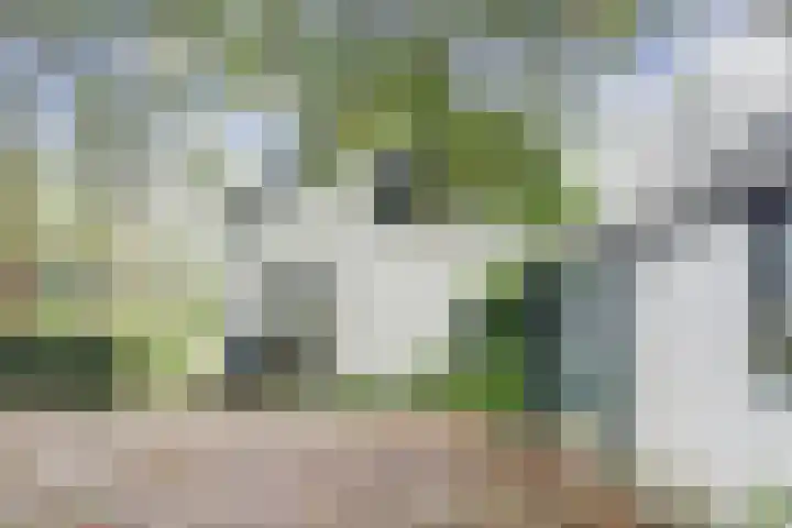 Noord Kavelsedijk 4 Strijen thumbnail 16