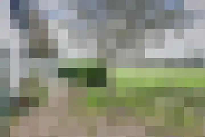 Noord Kavelsedijk 4 Strijen thumbnail 17