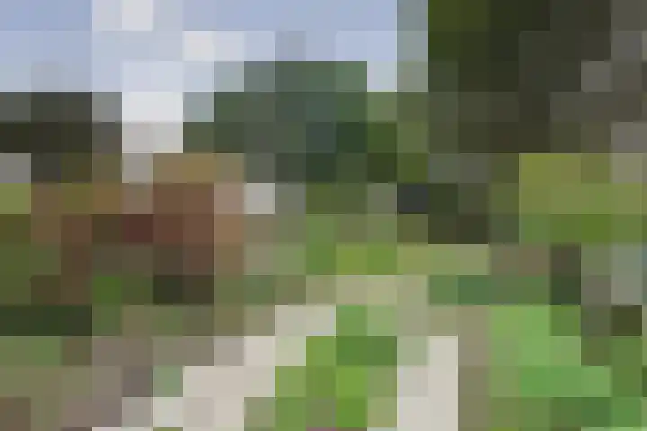 Noord Kavelsedijk 4 Strijen thumbnail 18
