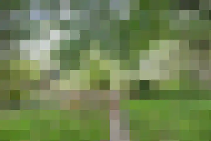 Noord Kavelsedijk 4 Strijen thumbnail 19