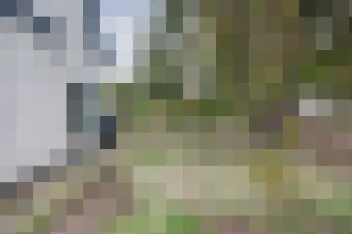 Noord Kavelsedijk 4 Strijen thumbnail 20