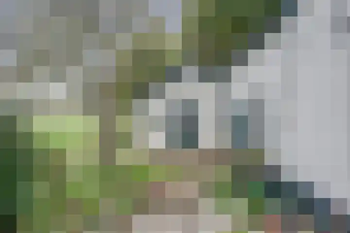 Noord Kavelsedijk 4 Strijen thumbnail 21