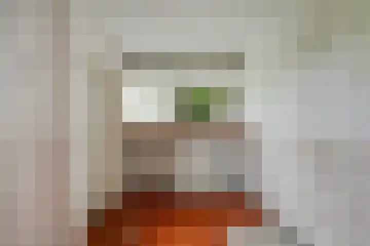 Noord Kavelsedijk 4 Strijen thumbnail 32