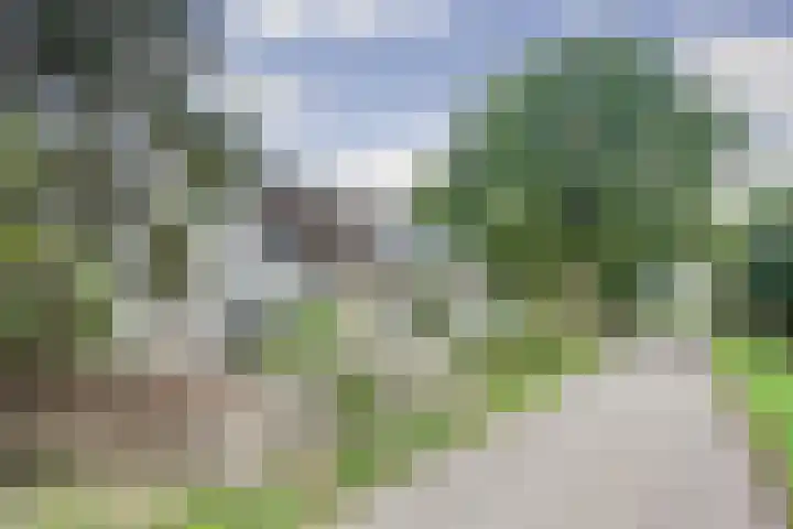 Noord Kavelsedijk 4 Strijen thumbnail 6