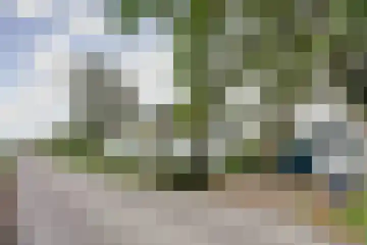 Noord Kavelsedijk 4 Strijen thumbnail 8