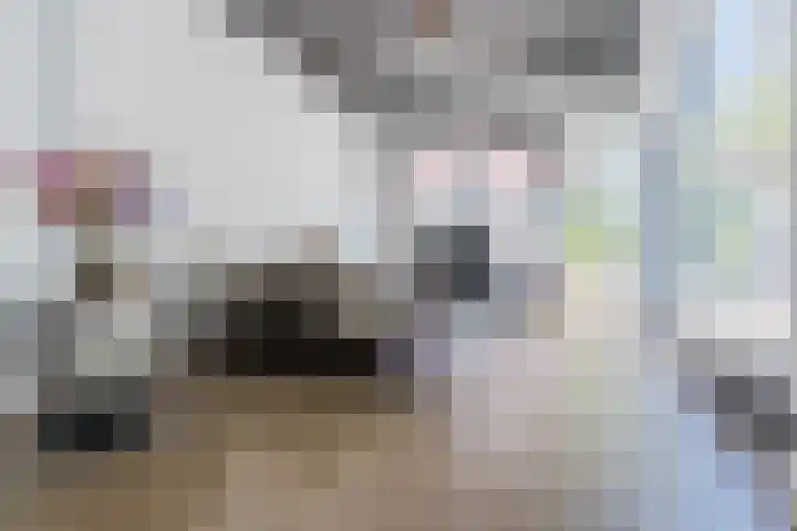 Noord Koninginnewal 2 Helmond thumbnail 12