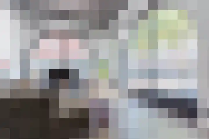 Noord Koninginnewal 2 Helmond thumbnail 14