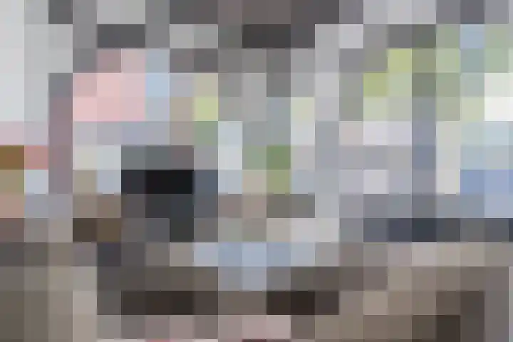 Noord Koninginnewal 2 Helmond thumbnail 15