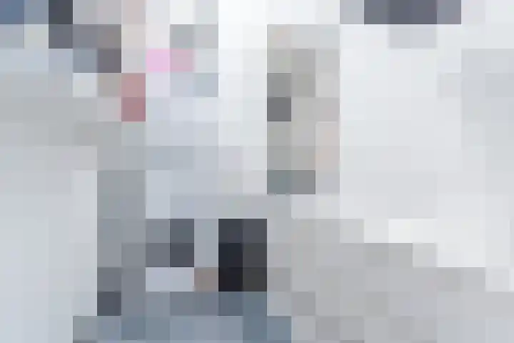 Noord Koninginnewal 2 Helmond thumbnail 26