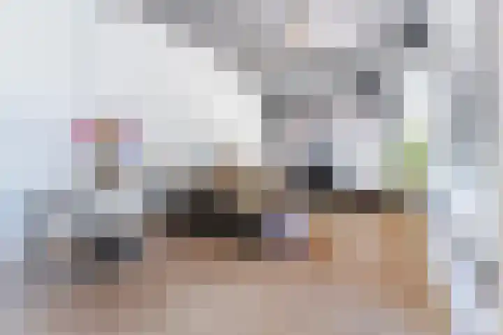 Noord Koninginnewal 2 Helmond thumbnail 4