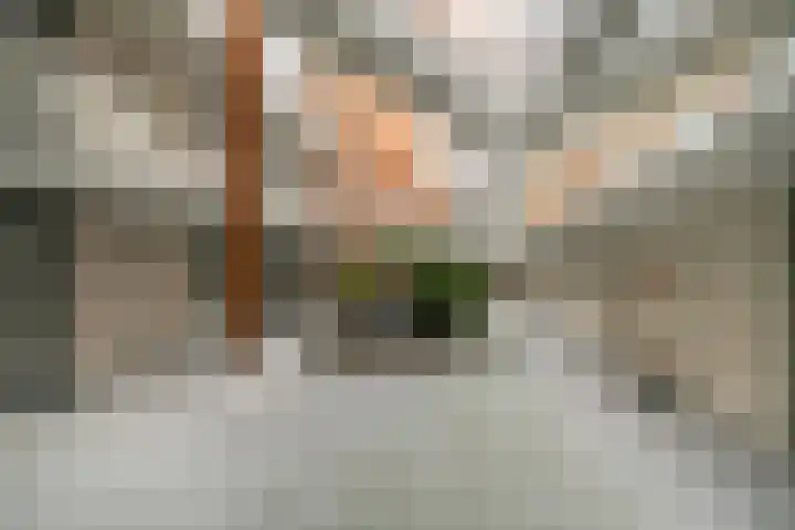 Noord Koninginnewal 38 A Helmond thumbnail 6