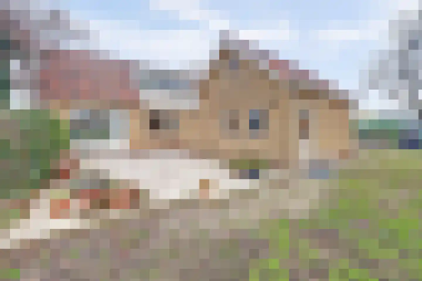 Noord-Lierweg 18 De Lier foto 3