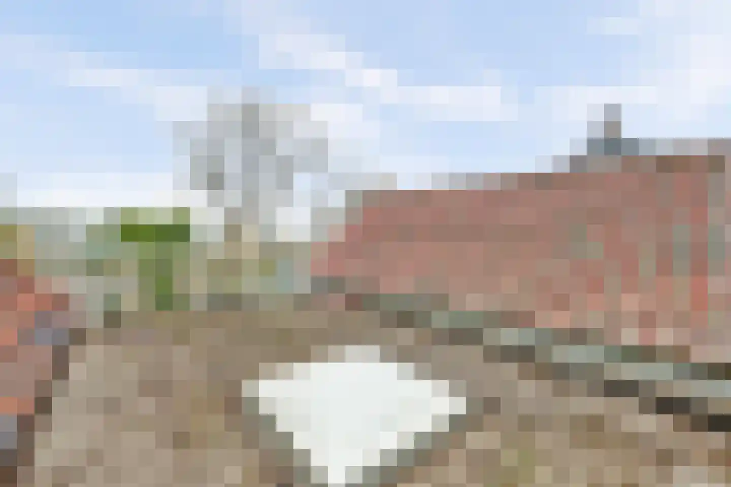 Noord-Lierweg 18 De Lier thumbnail 42