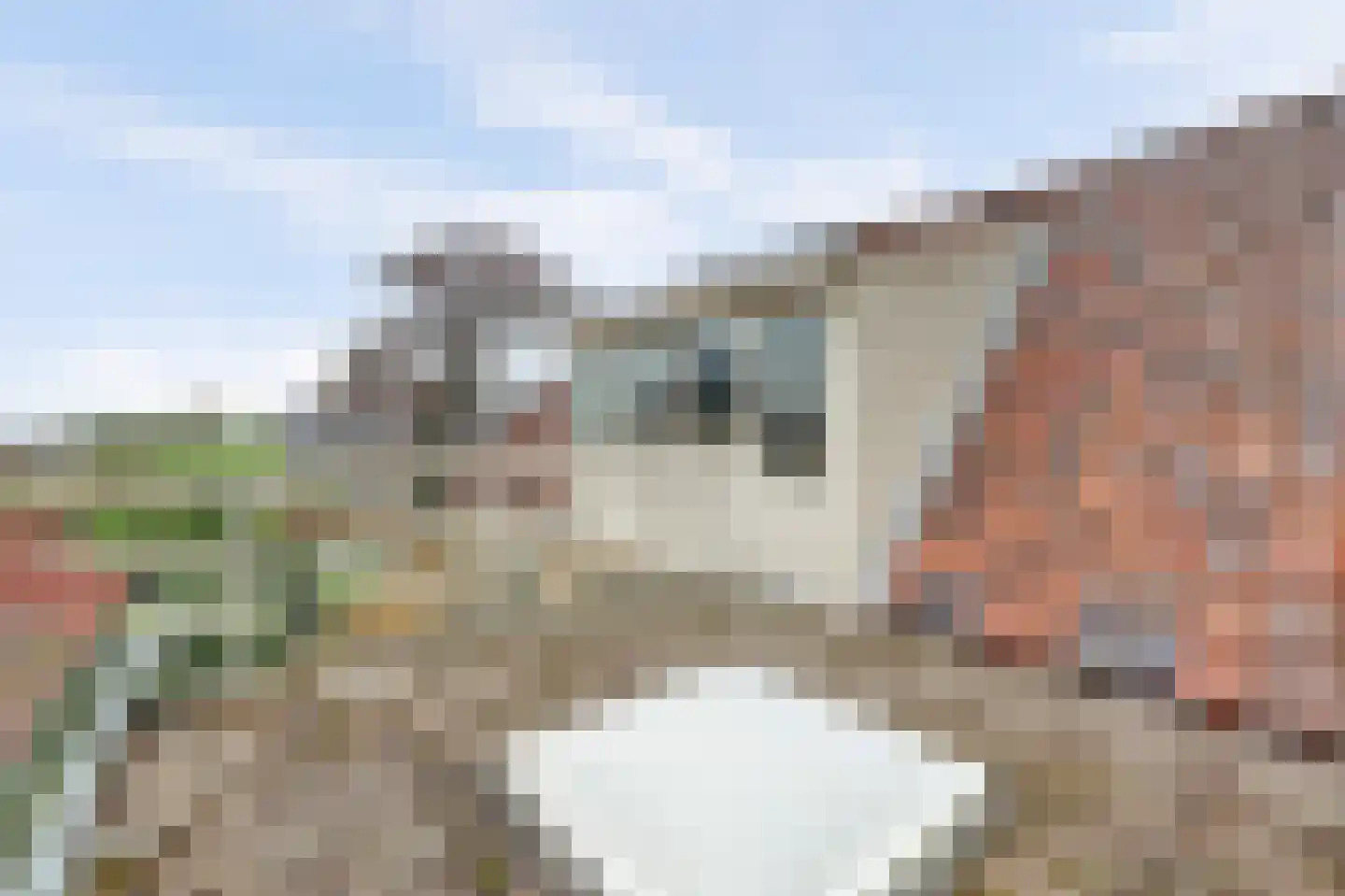 Noord-Lierweg 18 De Lier thumbnail 44
