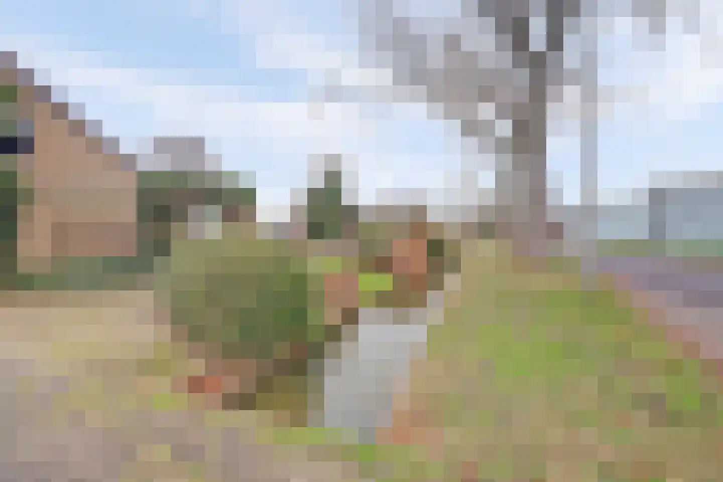 Noord-Lierweg 18 De Lier thumbnail 50