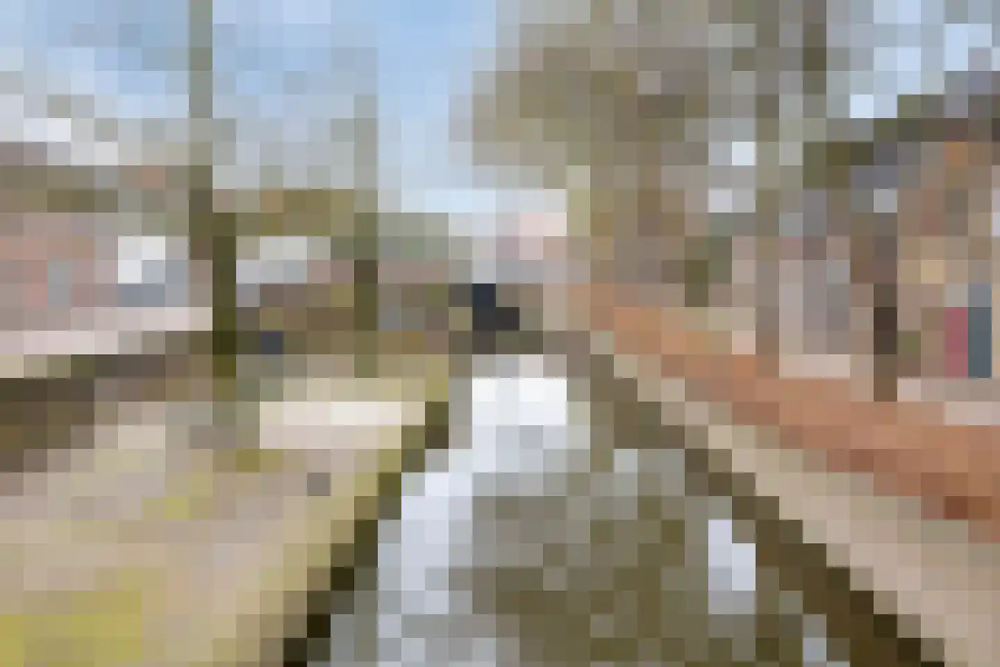 Noord-Linschoterkade 14 Oudewater thumbnail 31