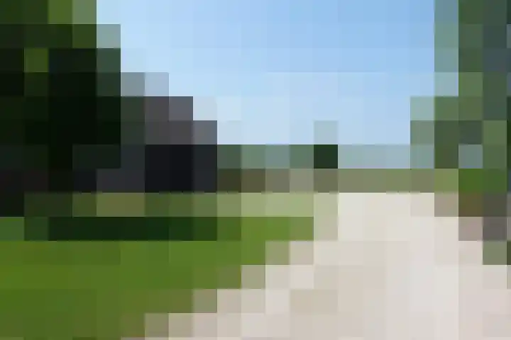 Noord-Linschoterzandweg 57 Snelrewaard thumbnail 30