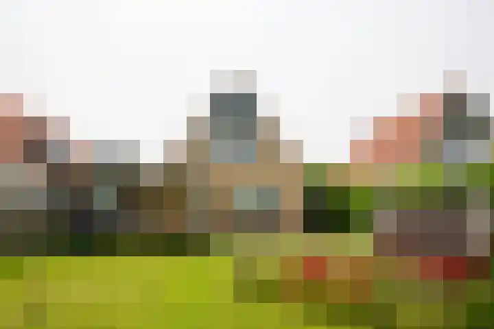 Noord Midslandweg 55 Midsland thumbnail 33