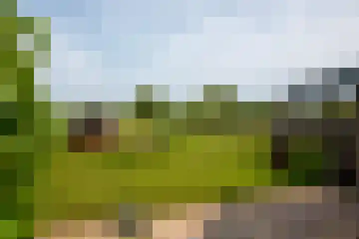 Noord Midslandweg 55 Midsland thumbnail 36