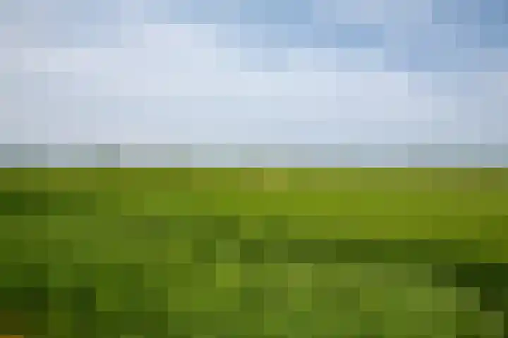 Noord Midslandweg 55 Midsland thumbnail 37