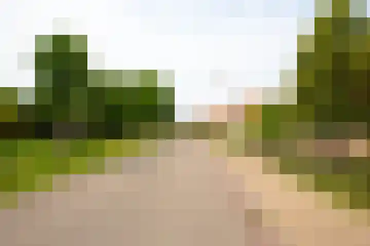 Noord Midslandweg 55 Midsland thumbnail 38