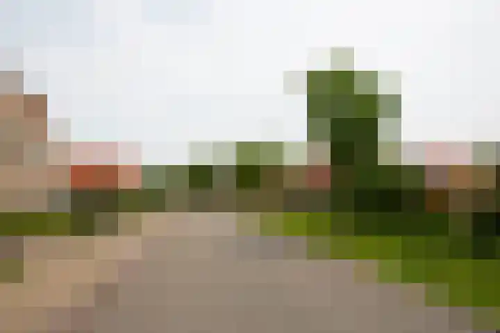 Noord Midslandweg 55 Midsland thumbnail 39