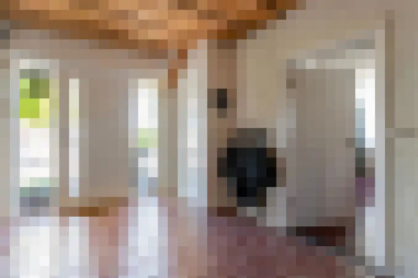 Noord Oosterweg 1 Loozen thumbnail 10