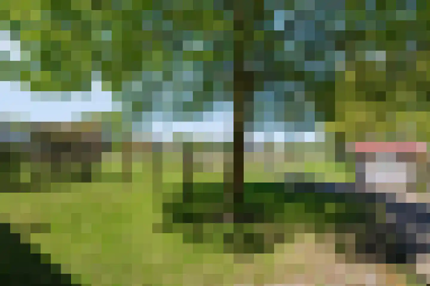 Noord Oosterweg 1 Loozen thumbnail 10