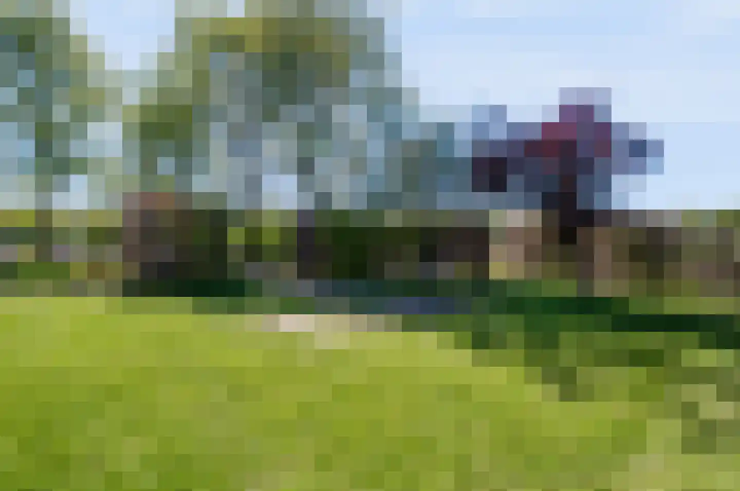 Noord Oosterweg 1 Loozen thumbnail 11