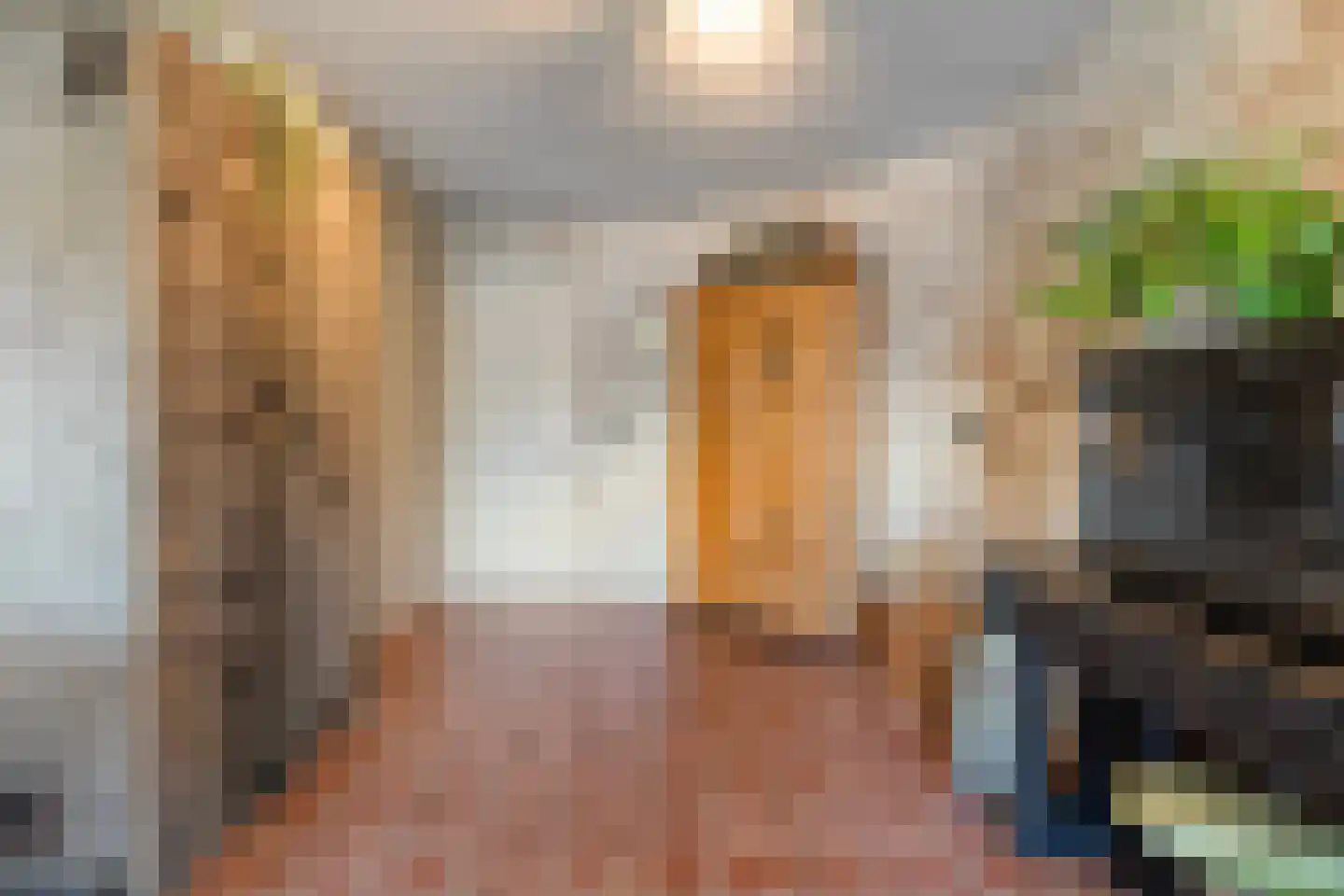 Noord Oosterweg 1 Loozen thumbnail 15