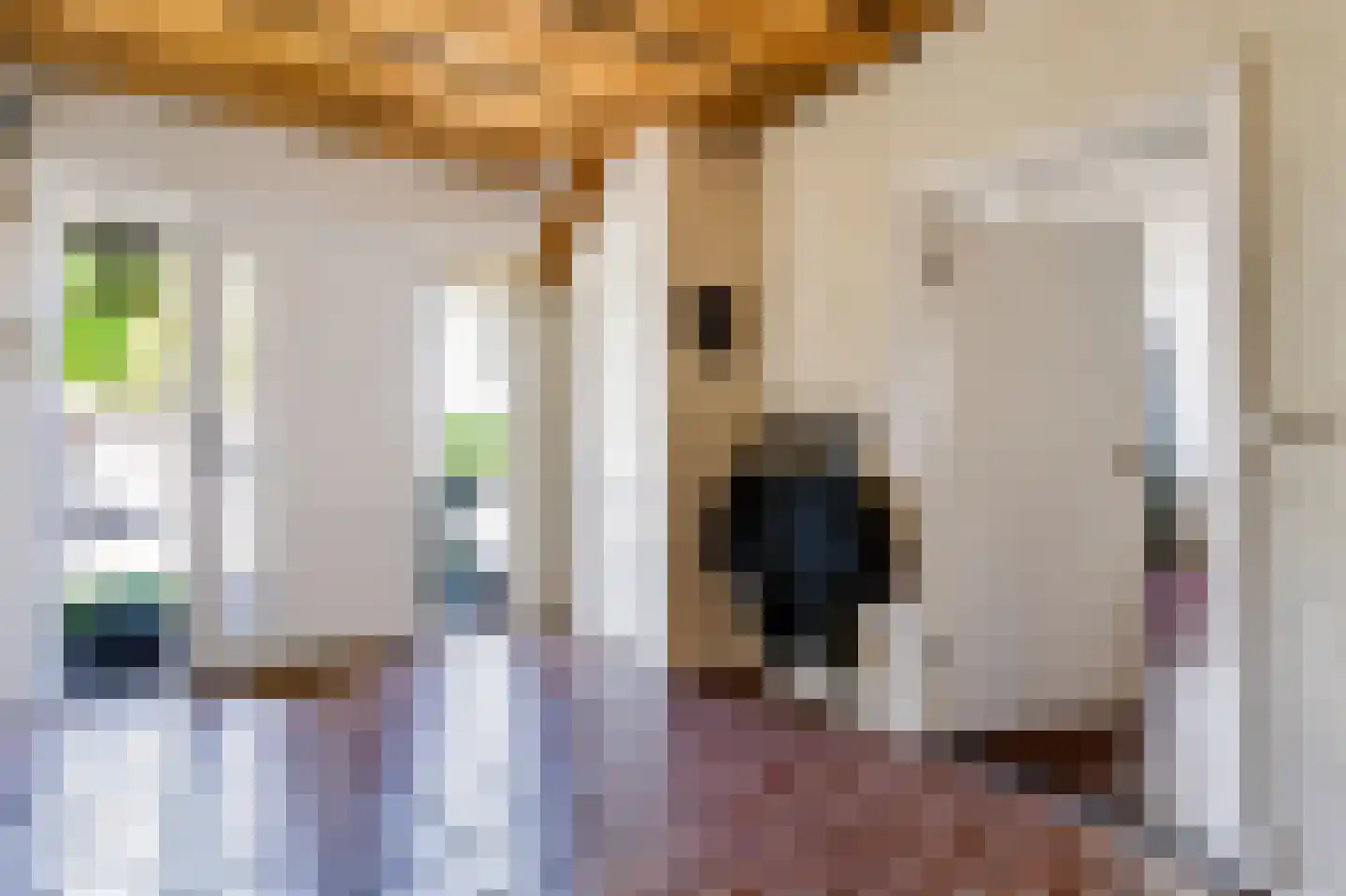Noord Oosterweg 1 Loozen thumbnail 16