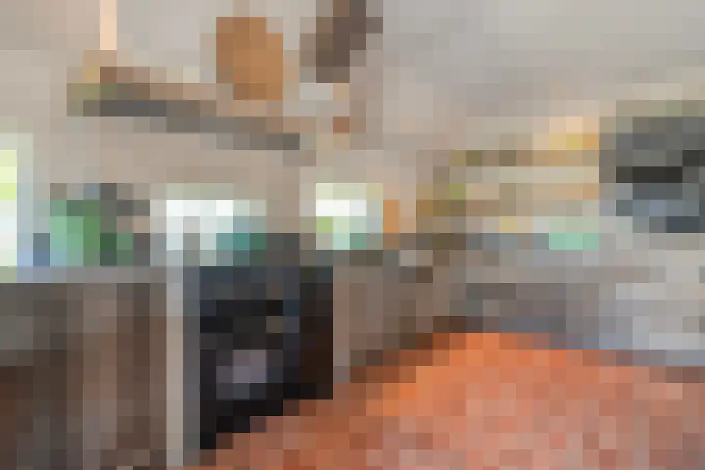 Noord Oosterweg 1 Loozen thumbnail 19