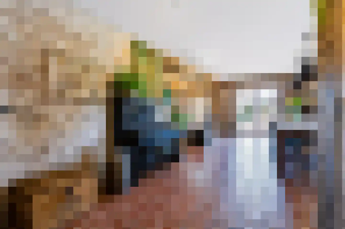 Noord Oosterweg 1 Loozen thumbnail 19