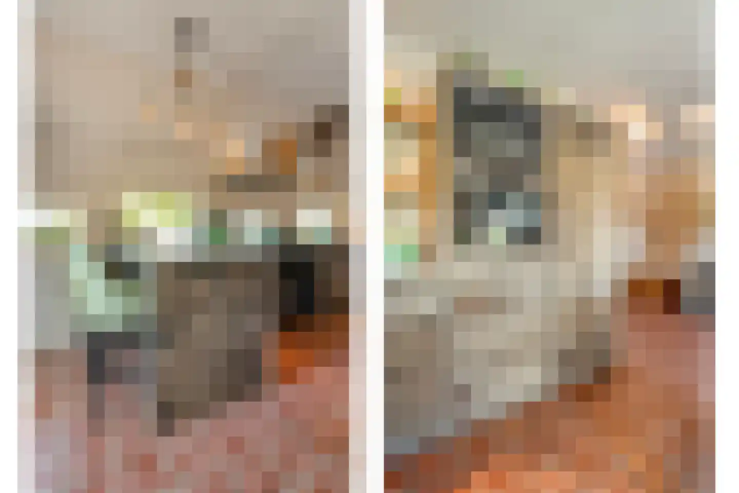 Noord Oosterweg 1 Loozen thumbnail 20