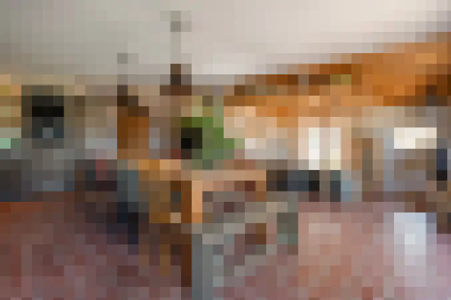 Noord Oosterweg 1 Loozen thumbnail 21