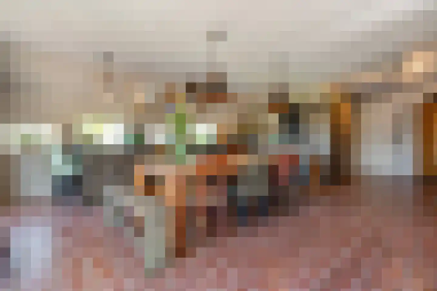 Noord Oosterweg 1 Loozen thumbnail 22