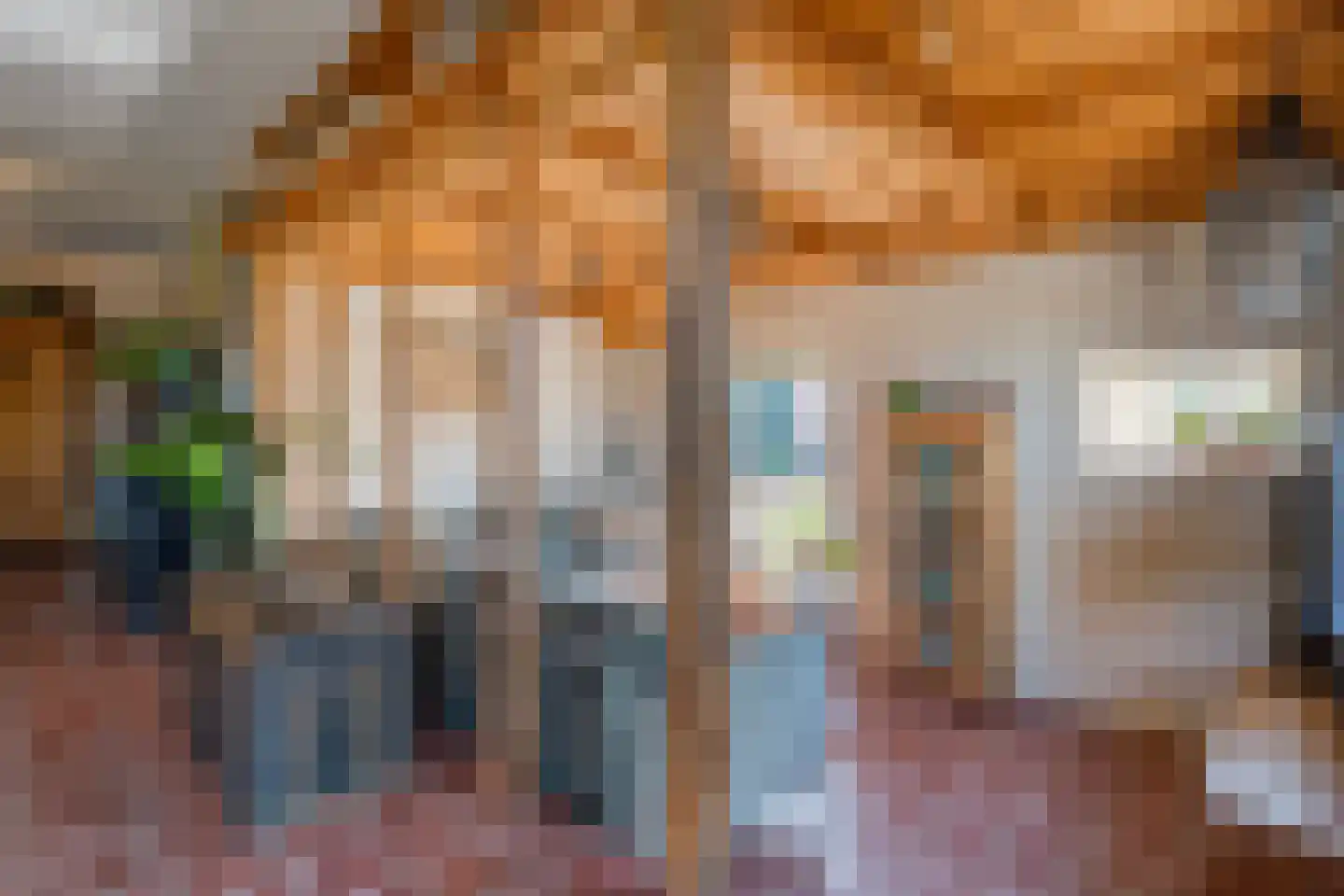 Noord Oosterweg 1 Loozen thumbnail 23