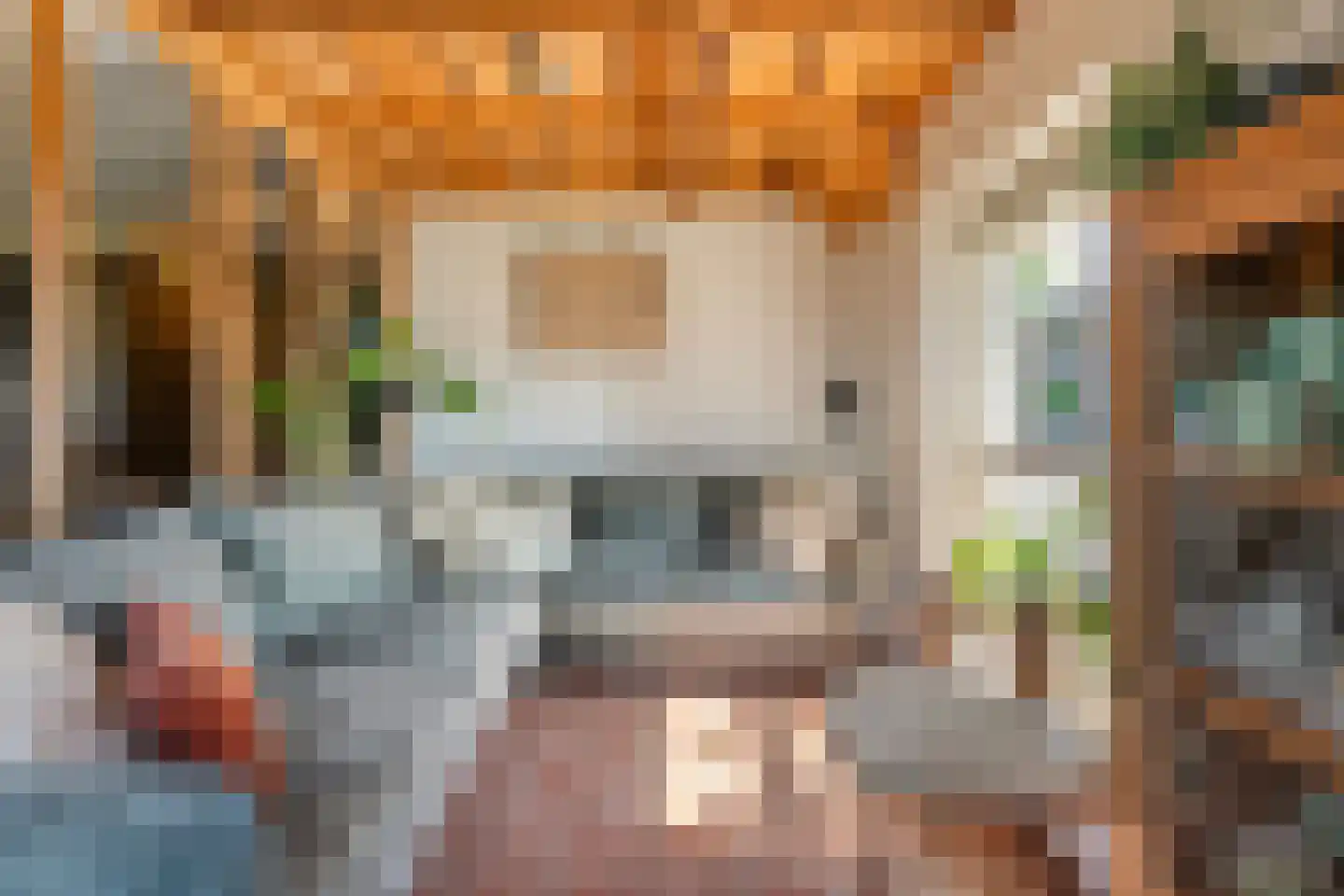 Noord Oosterweg 1 Loozen thumbnail 24