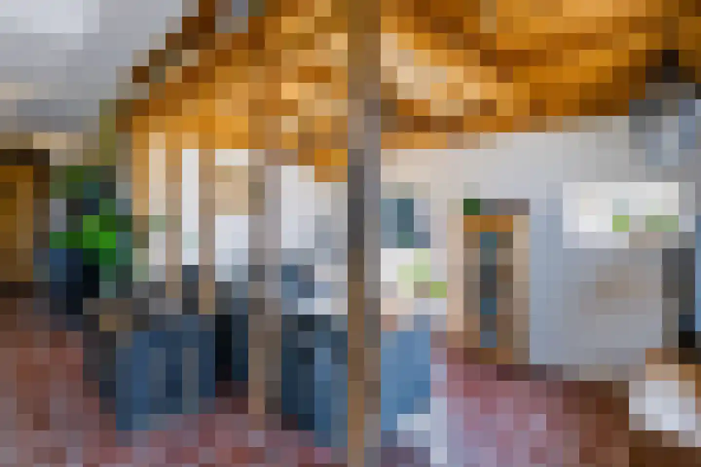 Noord Oosterweg 1 Loozen thumbnail 25