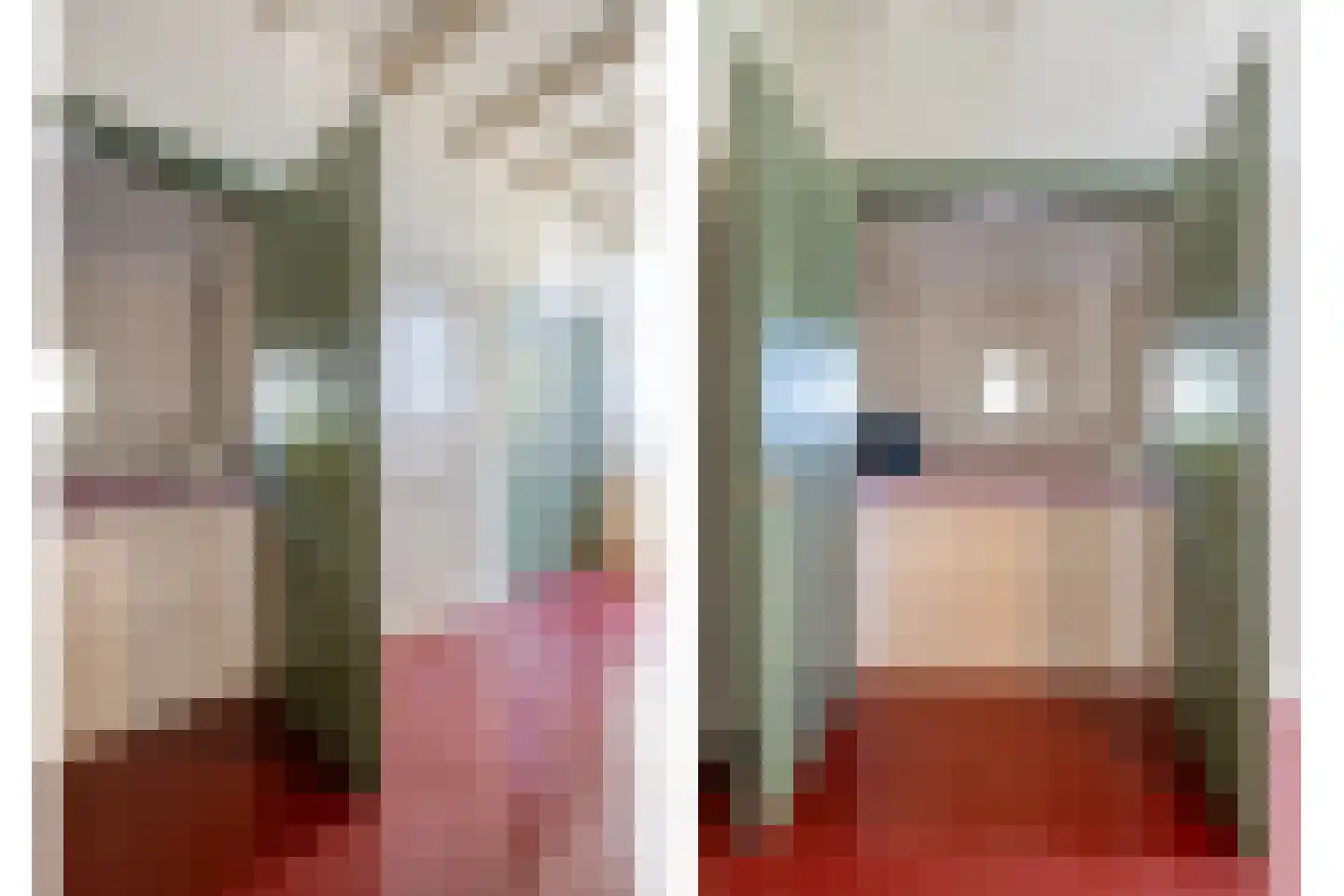 Noord Oosterweg 1 Loozen thumbnail 27