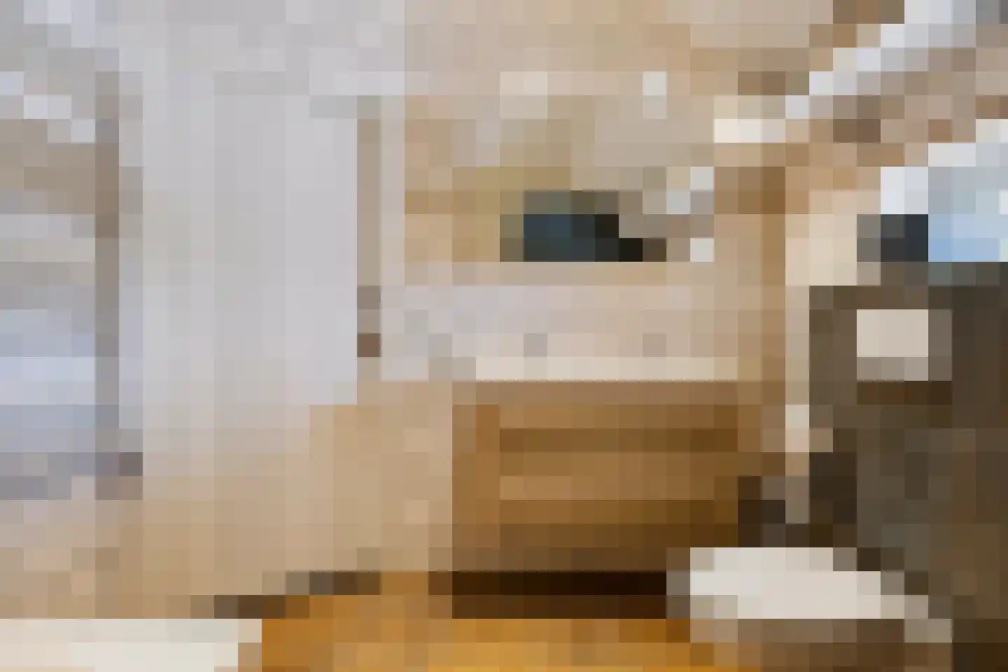 Noord Oosterweg 1 Loozen thumbnail 28