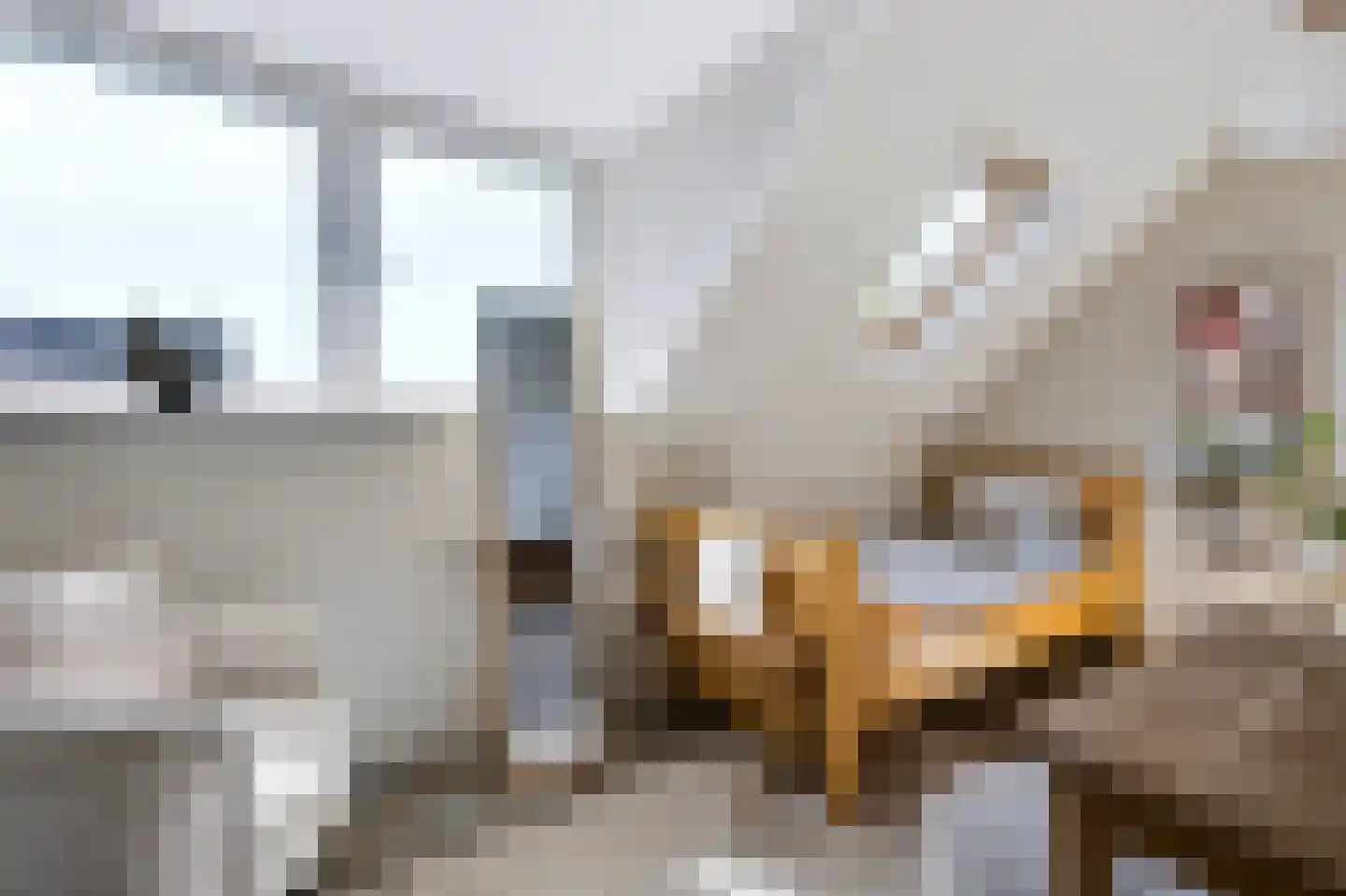 Noord Oosterweg 1 Loozen thumbnail 30