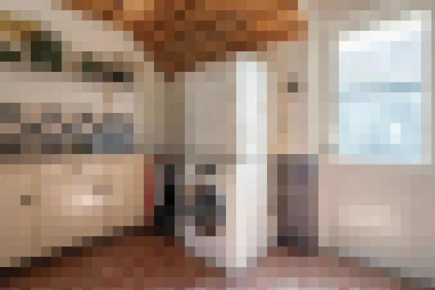 Noord Oosterweg 1 Loozen thumbnail 31