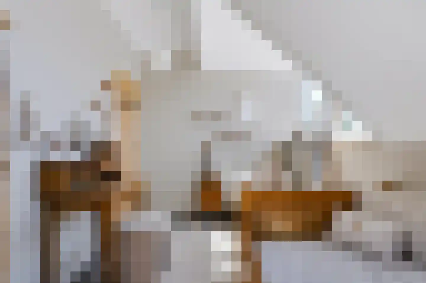 Noord Oosterweg 1 Loozen thumbnail 31