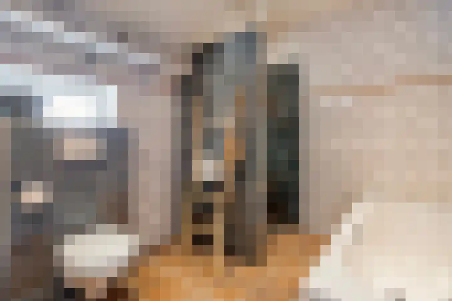 Noord Oosterweg 1 Loozen thumbnail 32