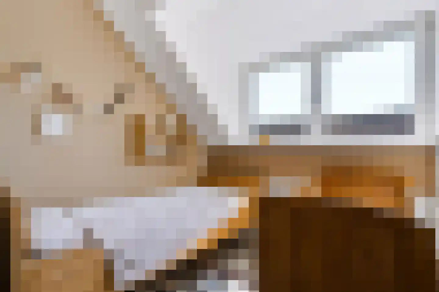 Noord Oosterweg 1 Loozen thumbnail 33