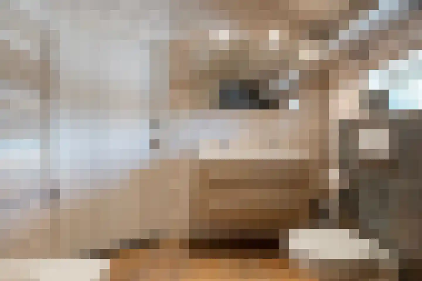 Noord Oosterweg 1 Loozen thumbnail 33
