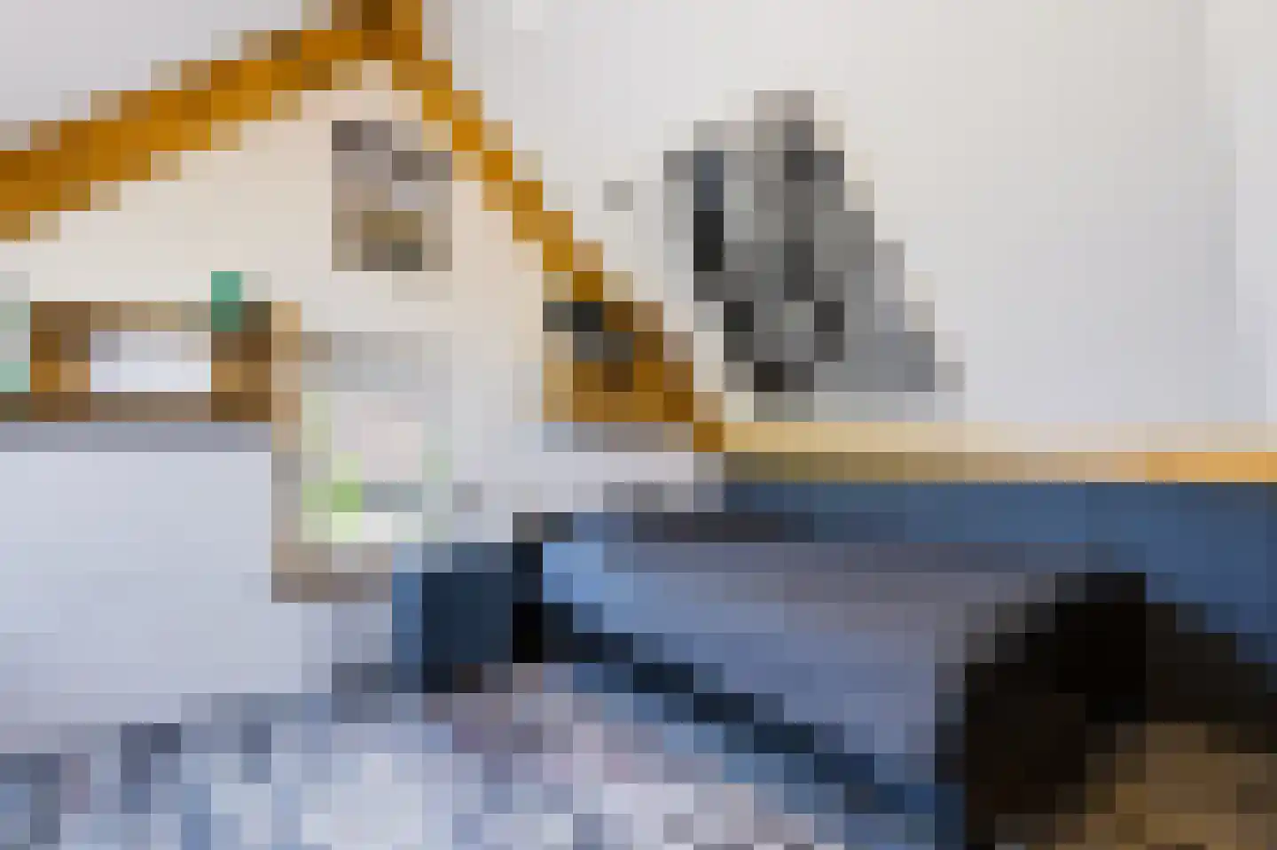 Noord Oosterweg 1 Loozen thumbnail 35