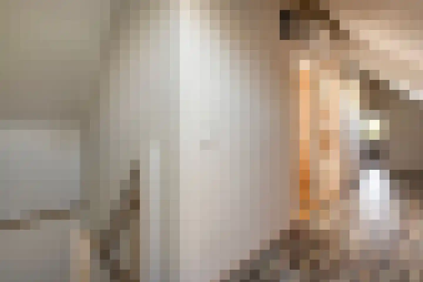 Noord Oosterweg 1 Loozen thumbnail 35
